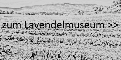 Lavendelmuseum Link